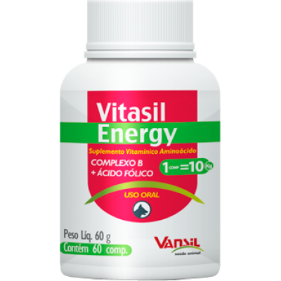 Suplemento Vitamínico Aminoácido Vitasil Energy - 60 Comprimidos