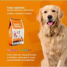 778C87D012F0E3682E61109BE6D478DE