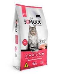 8249CB967162B6A8FAD66A411509AEB8