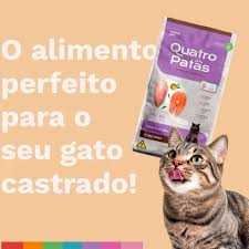 E8BD296D078E4750016F4C373C2DC5B6