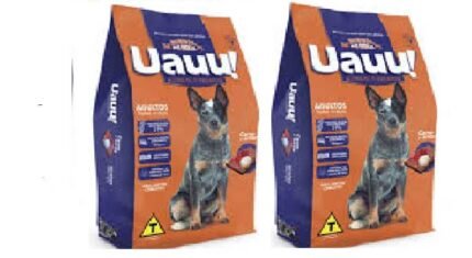 447FE40937F155A4091D055F5A1F43A1