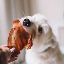 480A4B469F9B9F7BF5E74E44BFCF34DA